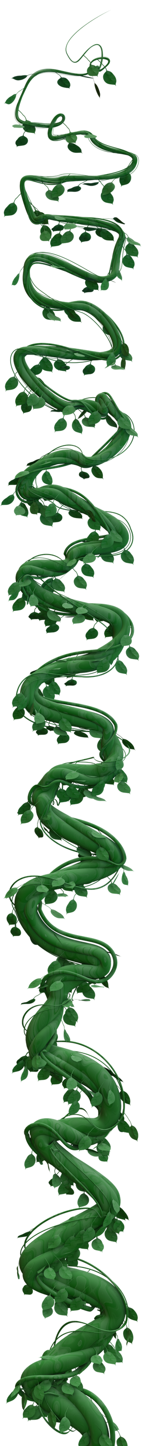 Long, twisting beanstalk thick at the bottom and thin at the top