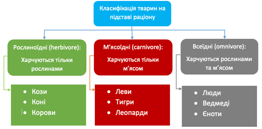 Асоціативна карта тварин