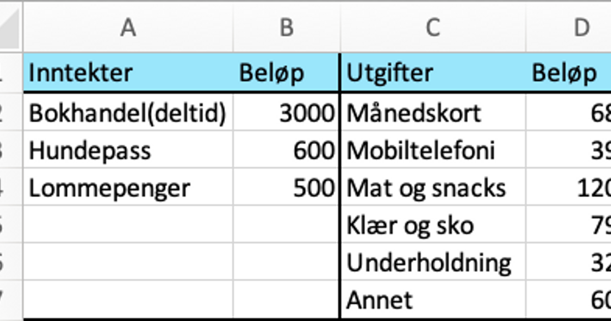 Hvordan Føre Regnskap I Excel