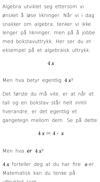 Oppslag om Hva er algebra?