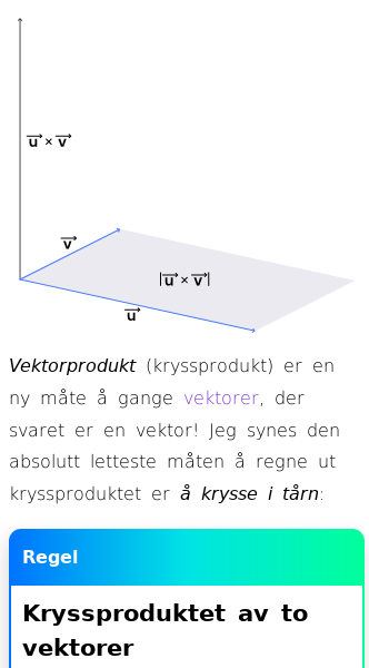 Oppslag om Vektorproduktet