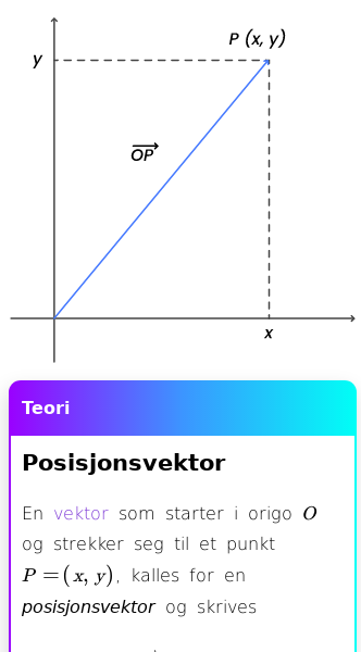 Oppslag om Hva er en posisjonsvektor?