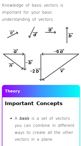 Article on What Are Basis Vectors Used For?